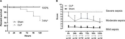 Sepsis Disrupts Mitochondrial Function and Diaphragm Morphology